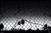CALI THROUGH THE WIRE