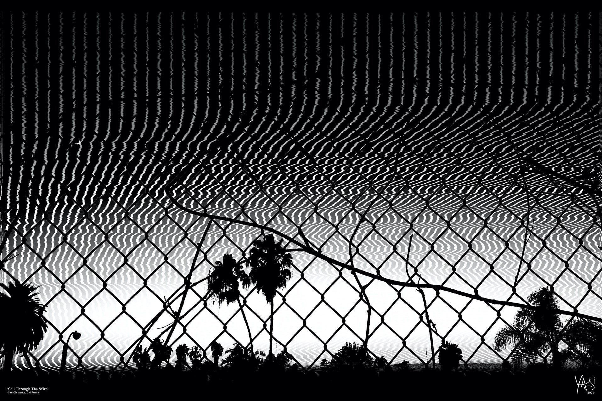 1.CaliThroughTheWire_900x600_WithSignature.jpg