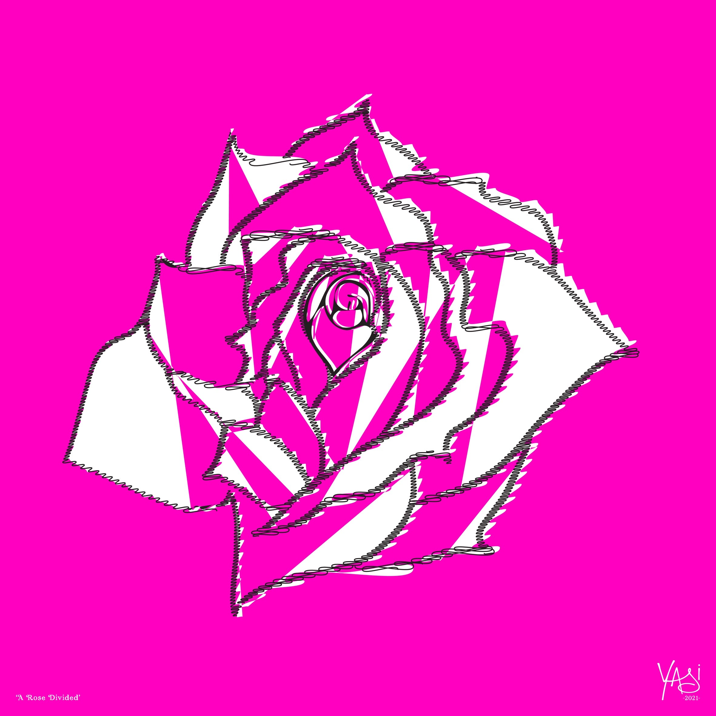 A ROSE DIVIDED
