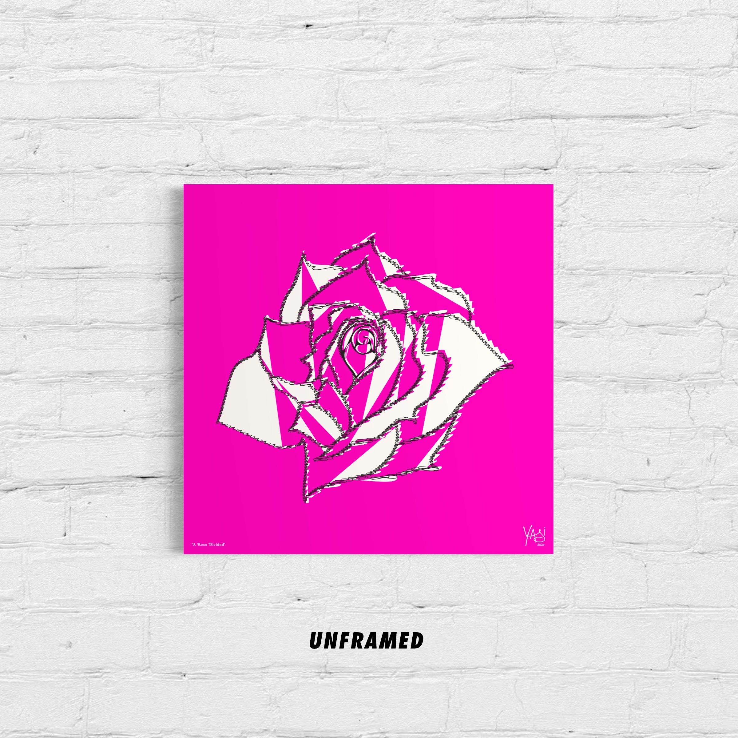 A ROSE DIVIDED