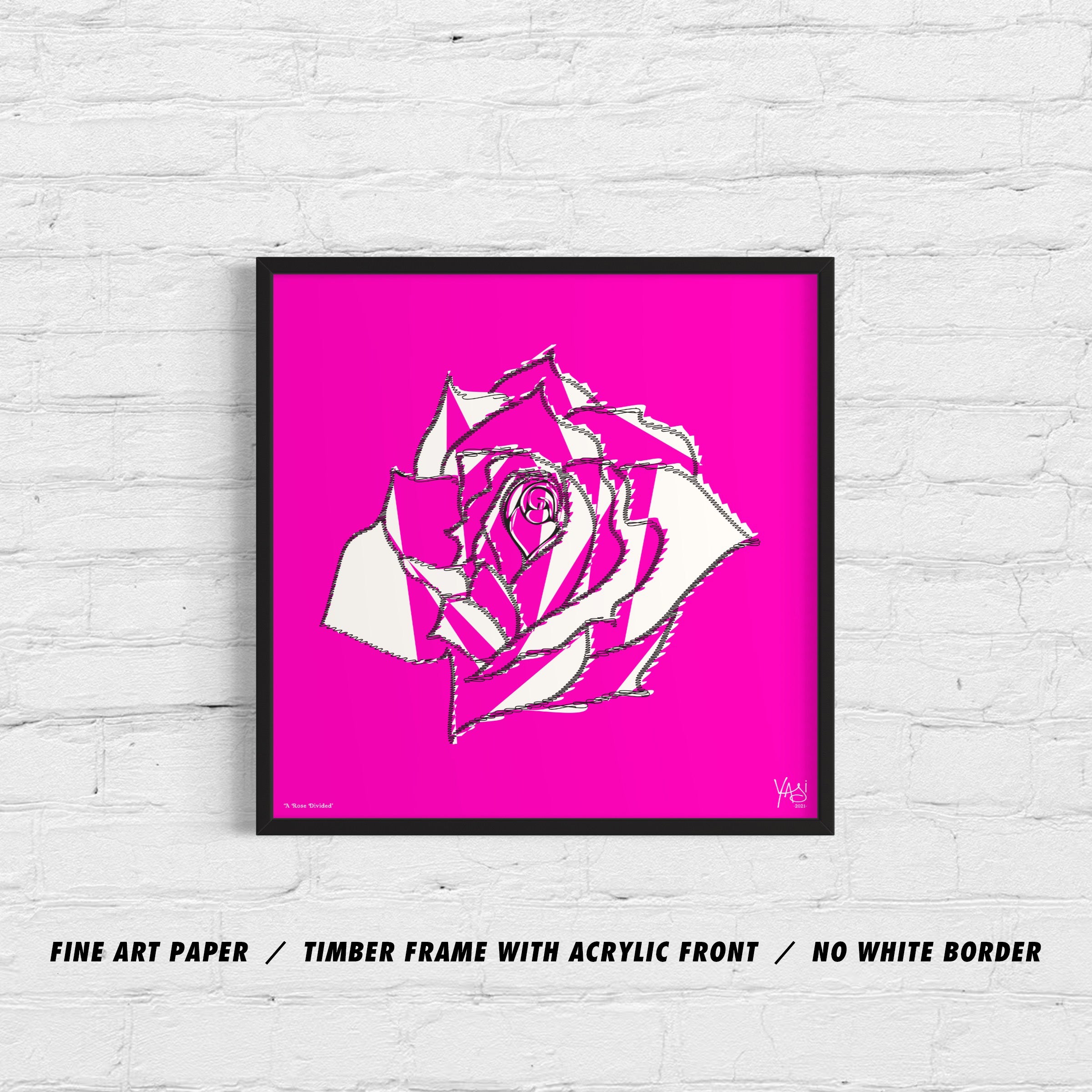 A ROSE DIVIDED