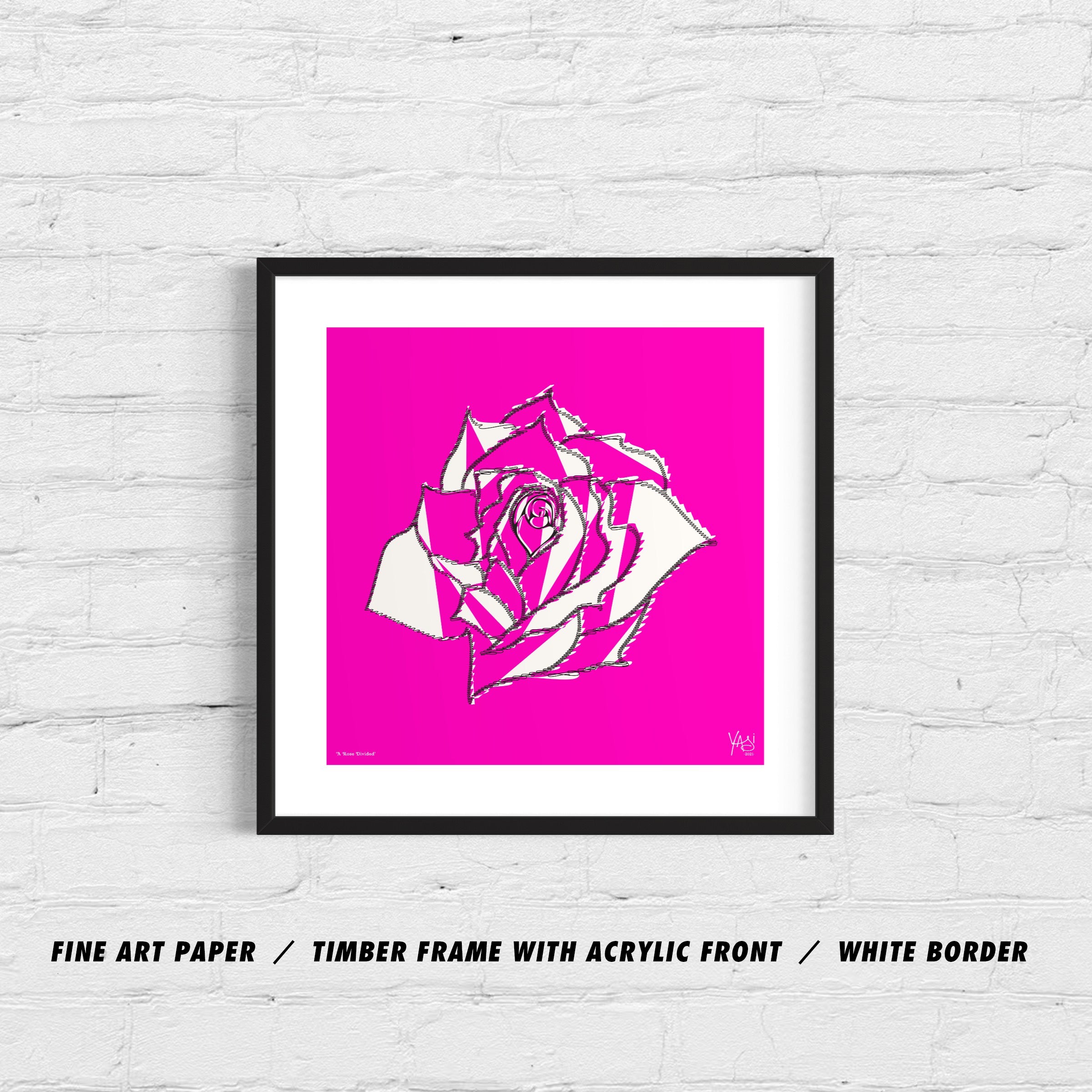 A ROSE DIVIDED