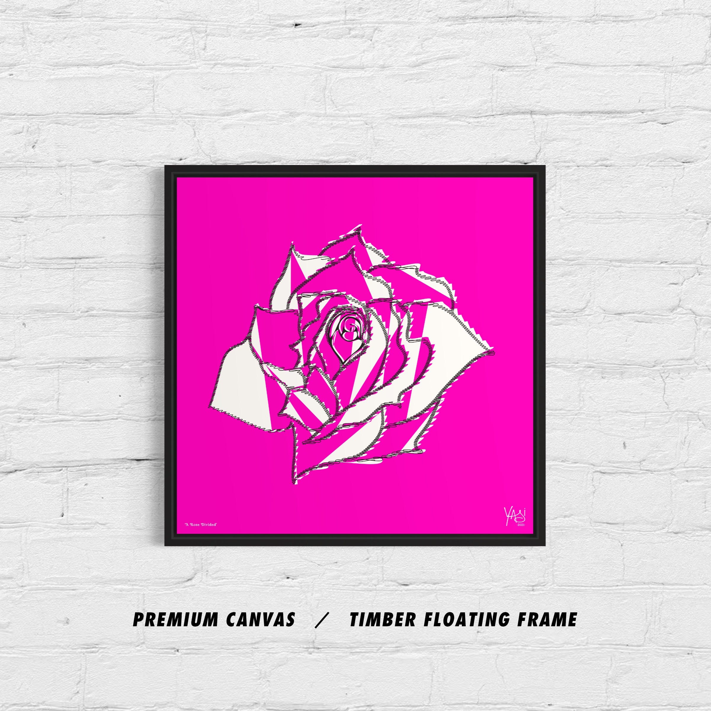 A ROSE DIVIDED