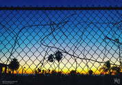 CALI THROUGH THE WIRE OG