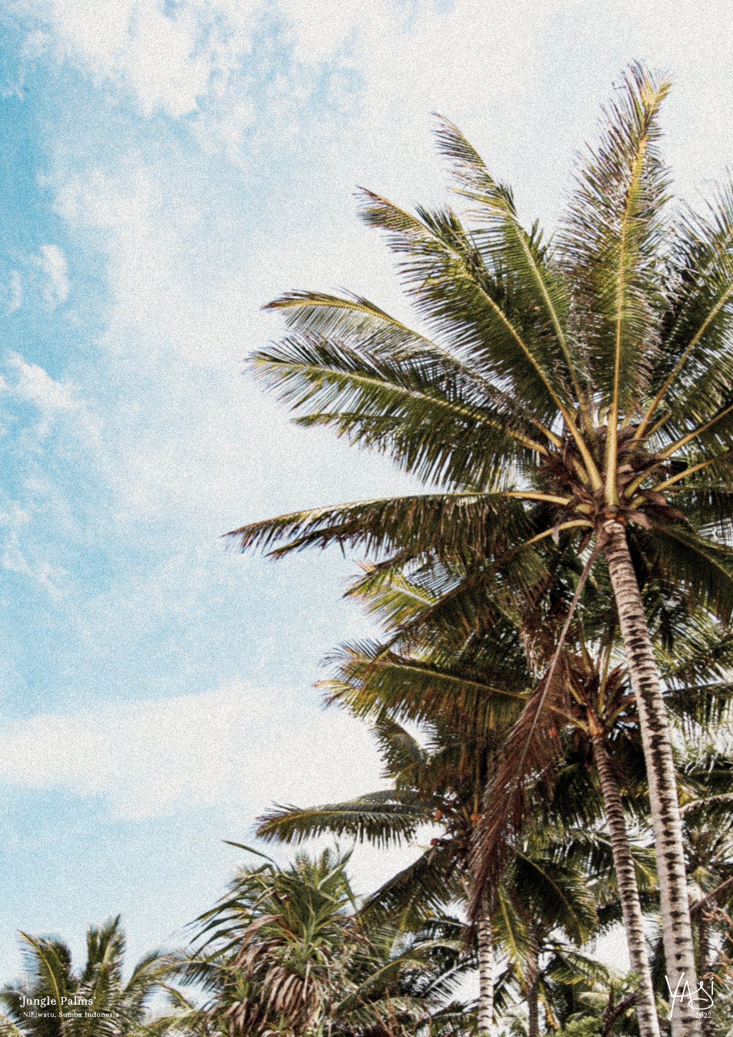 JUNGLE PALMS