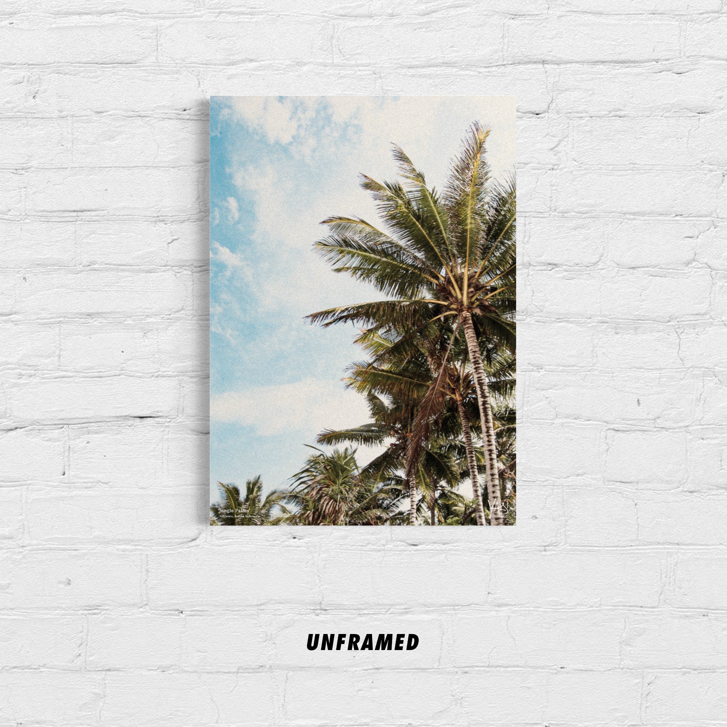 JUNGLE PALMS