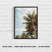 JUNGLE PALMS