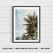 JUNGLE PALMS