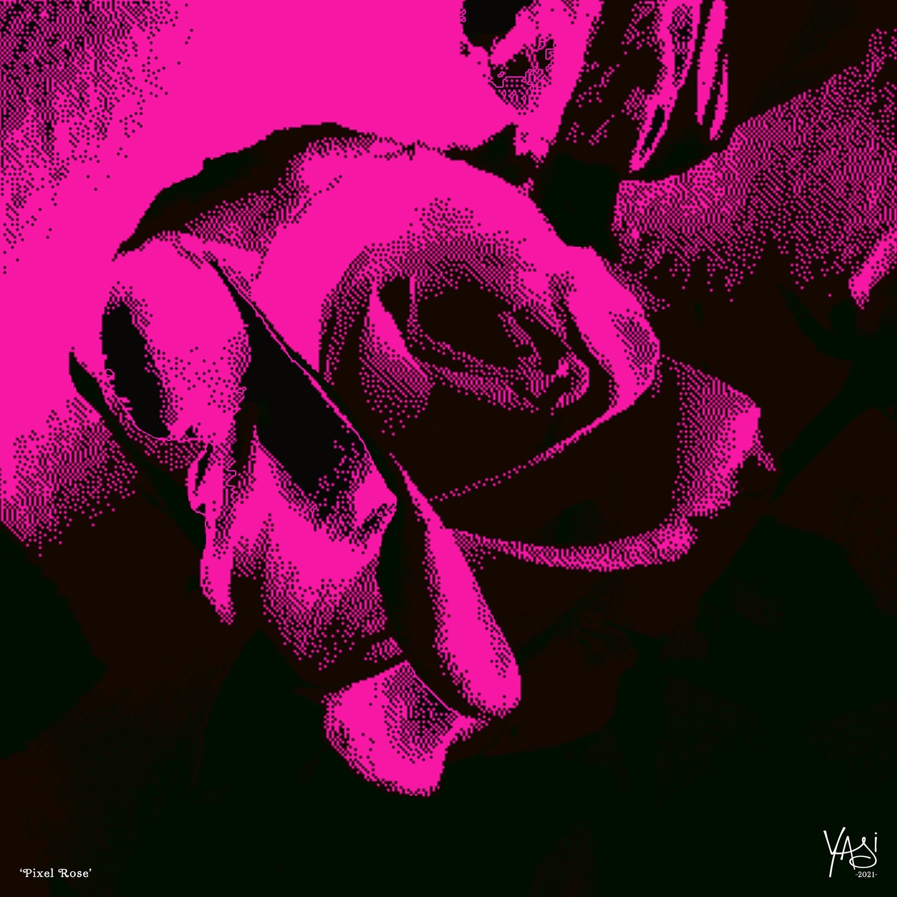 PixelRose_500x500_WithSignature.jpg