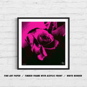 PIXEL ROSE