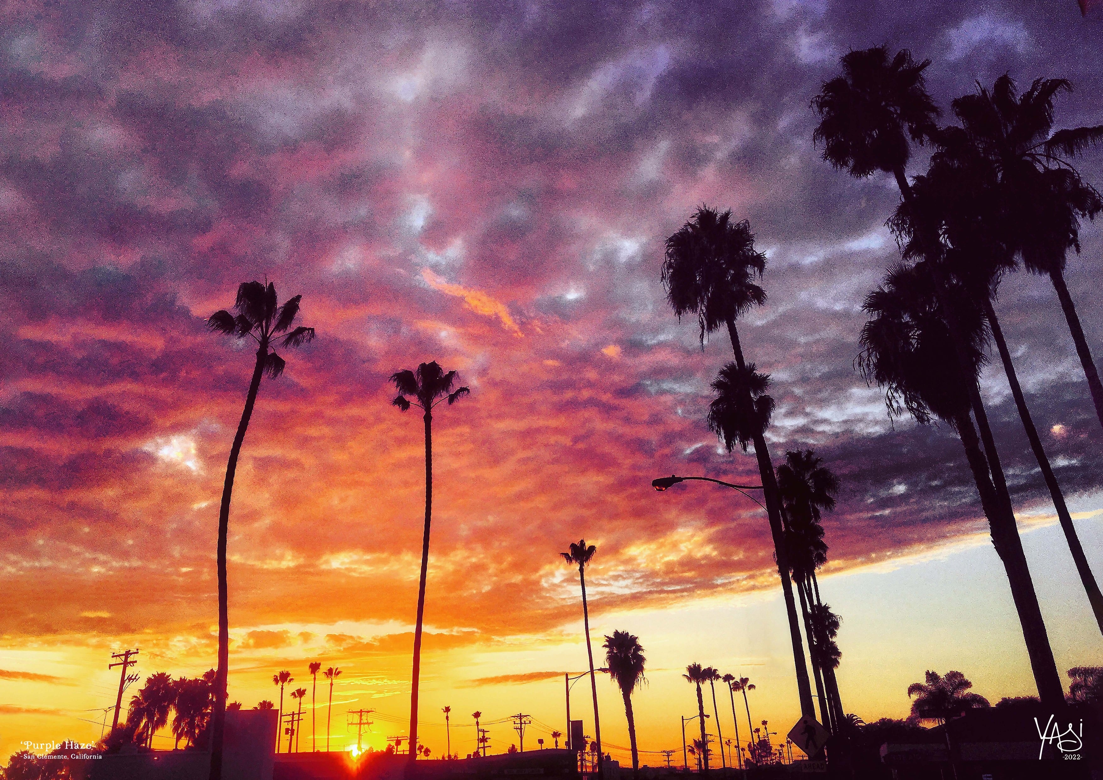 PURPLE HAZE