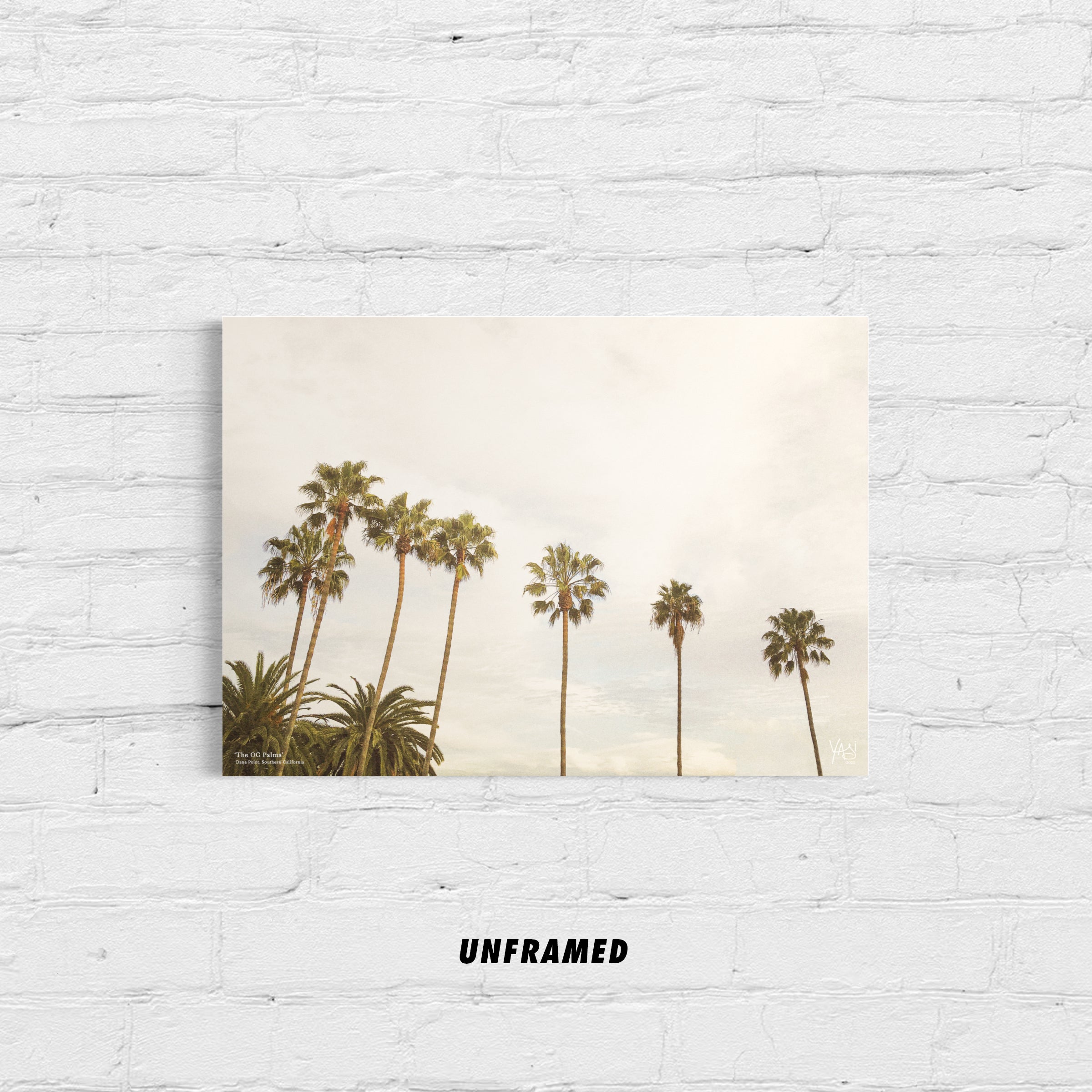 TheOGPalms_ARTPAPER_UNFRAMEDcopy.jpg