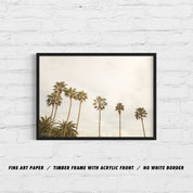 THE OG PALMS