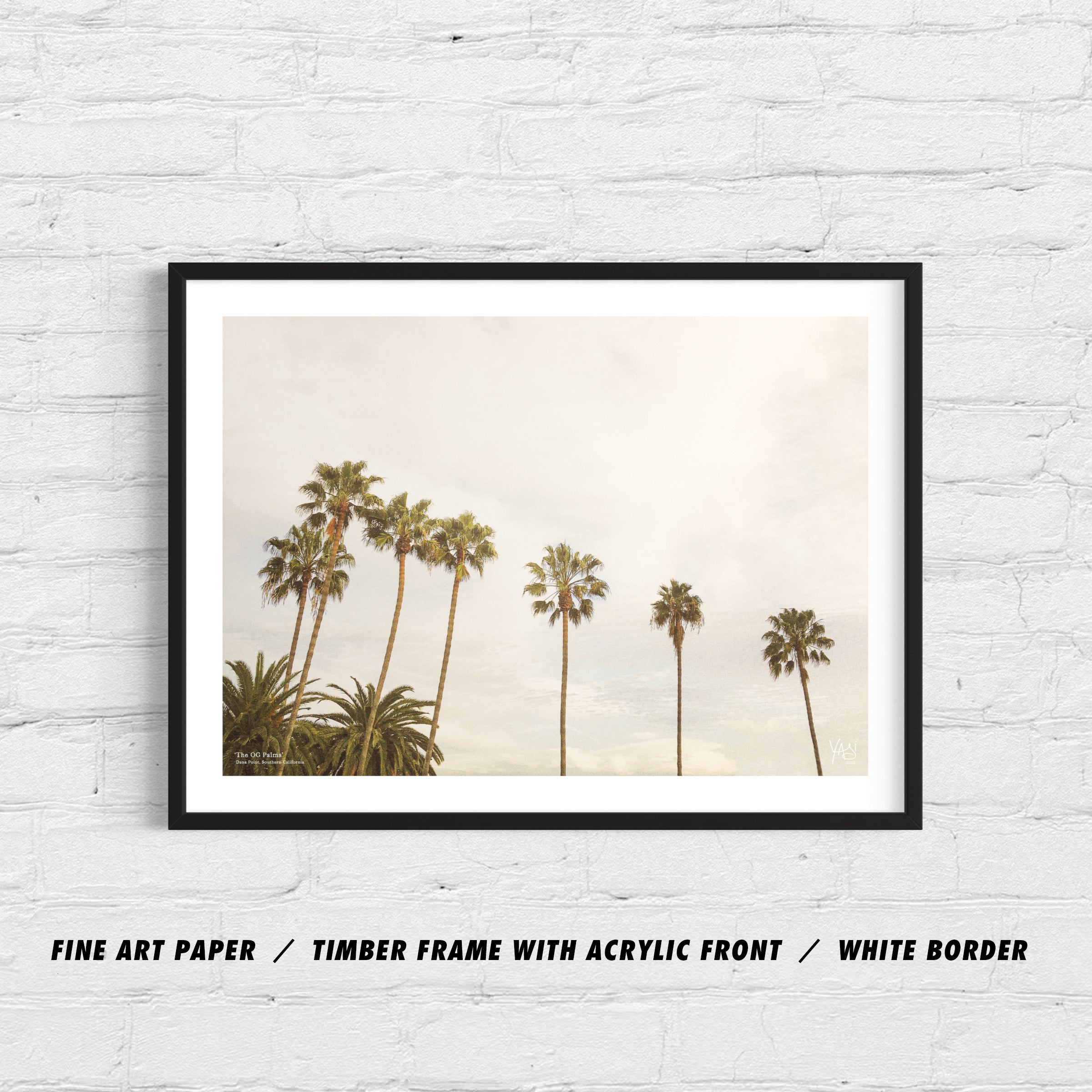 THE OG PALMS