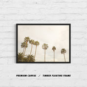 THE OG PALMS