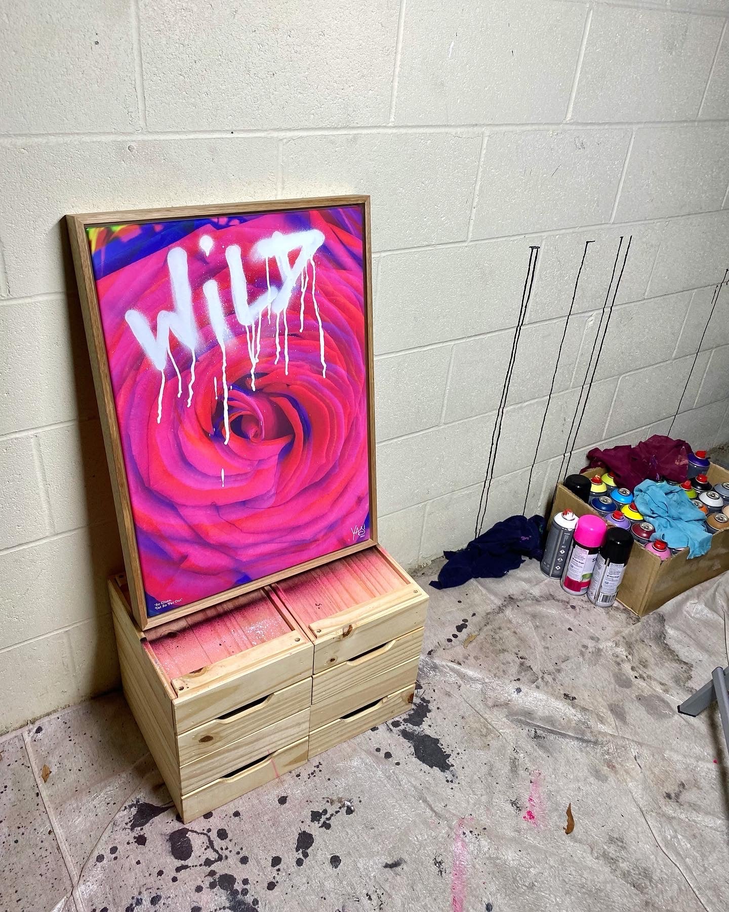 WildRose_2.jpg
